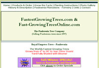 Paulownia Tree Company