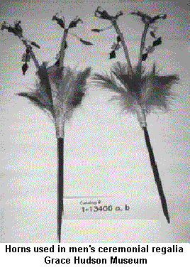 Horns used in men's ceremonial regalia   Grace Hudson Museum