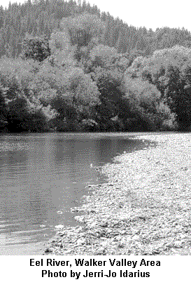 Eel River, Walker Valley area     Photo by Jerri-Jo Idarius