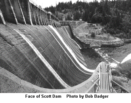 Face of Scott Dam    Photo by Bob Badger