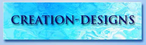 Creation Web Design and Graphics