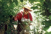 Kathleen Kirkpatrick, Etta Place her B & B in Willits