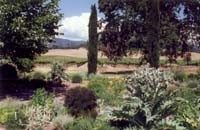 Fetzer Garden