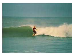 Surf's Up