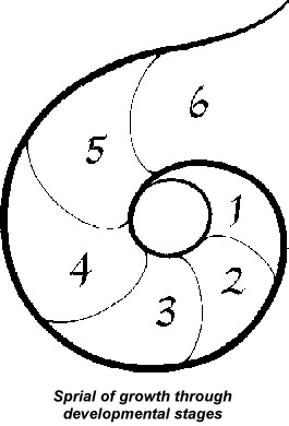 Spiral of growth through developmental stages